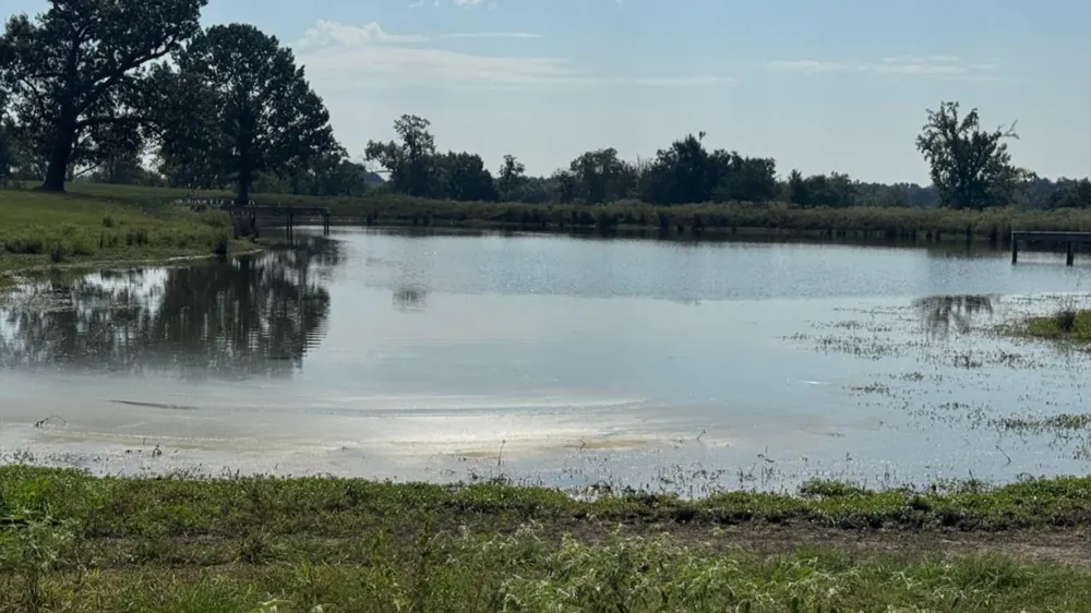768 County Road 2220 Talco, TX 75487