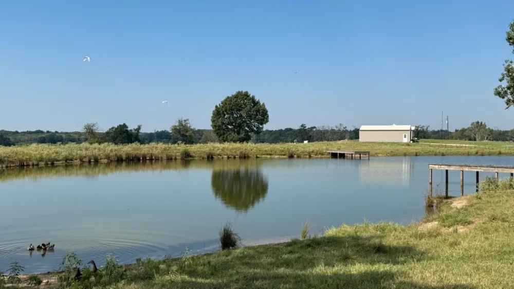 768 County Road 2220 Talco, TX 75487