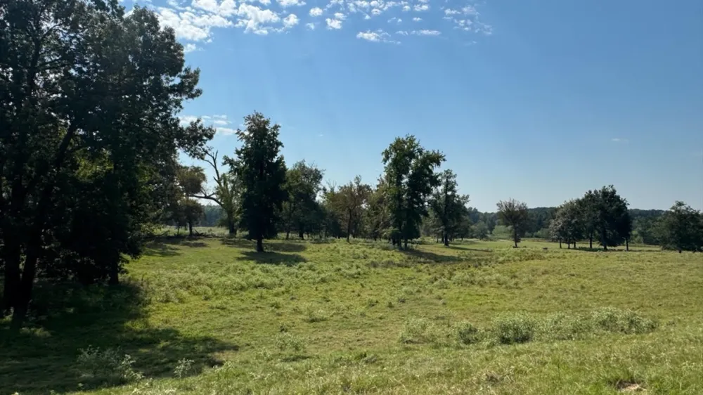 768 County Road 2220 Talco, TX 75487