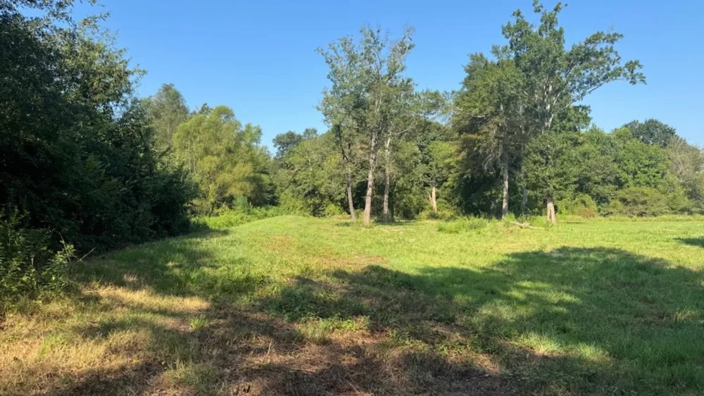 768 County Road 2220 Talco, TX 75487