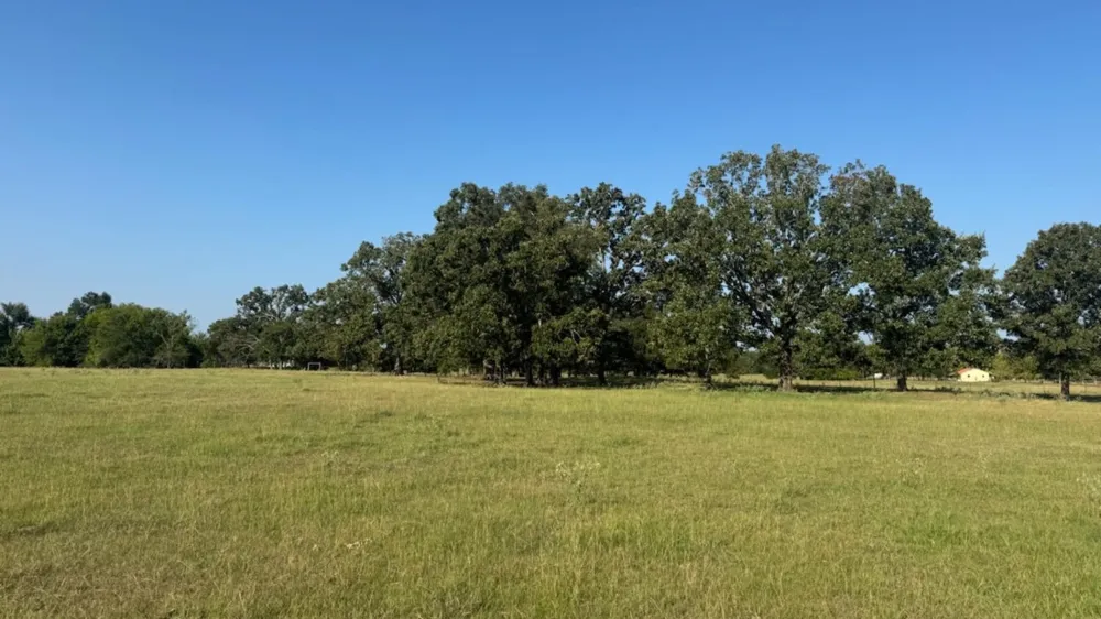 768 County Road 2220 Talco, TX 75487