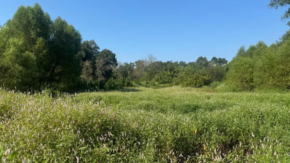 768 County Road 2220 Talco, TX 75487