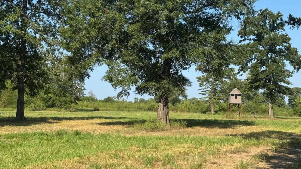 768 County Road 2220 Talco, TX 75487