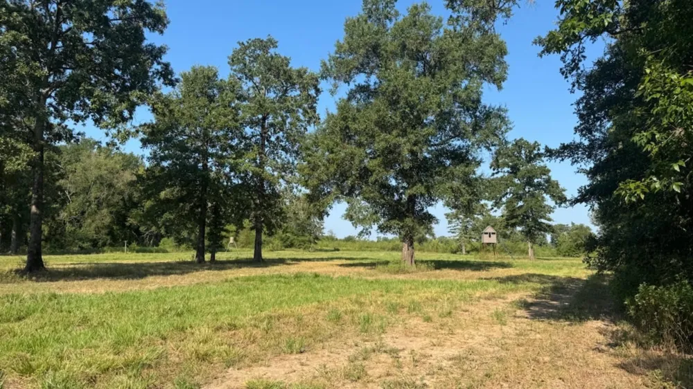 768 County Road 2220 Talco, TX 75487