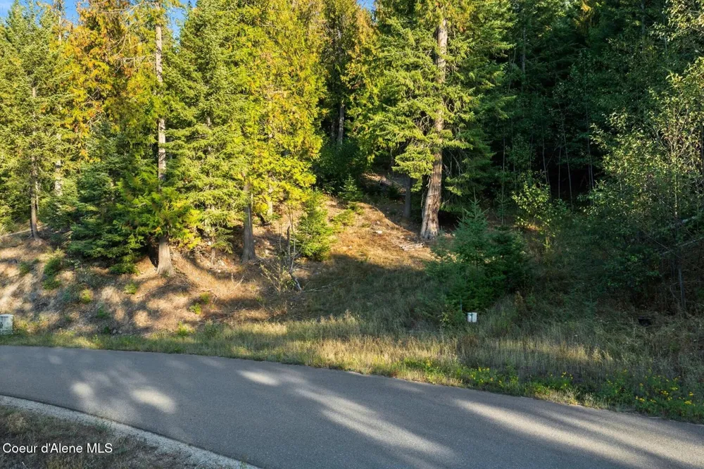 NNA C31&32 S Idaho Club Drive Sandpoint, ID 83864