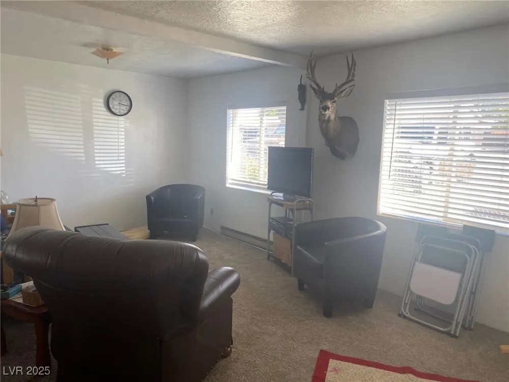 927 Park Avenue Ely, NV 89301
