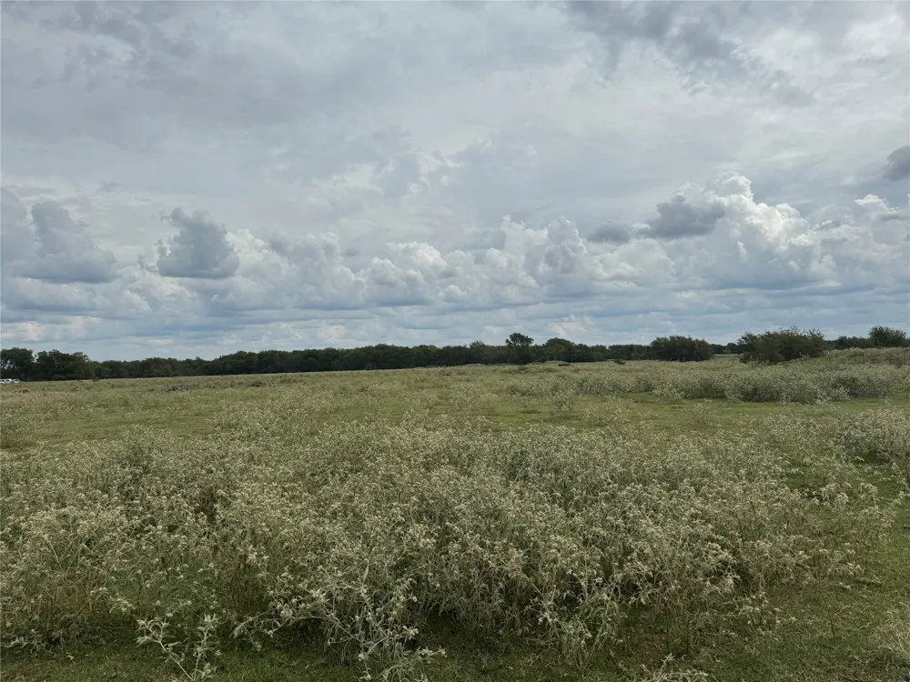 800 County Road 2870 Honey Grove, TX 75446