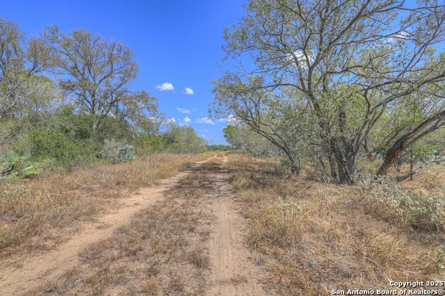 445 Single Oak Rd Seguin, TX 78155