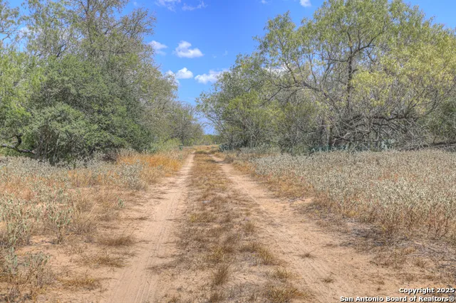 445 Single Oak Rd Seguin, TX 78155