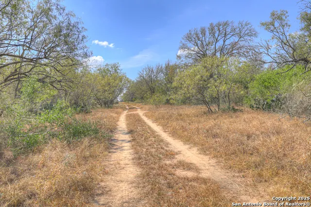 445 Single Oak Rd Seguin, TX 78155