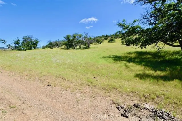 Yellow Dog Trail Hornbrook, CA 96044