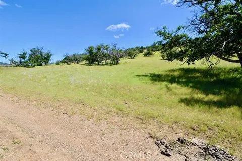 Yellow Dog Trail