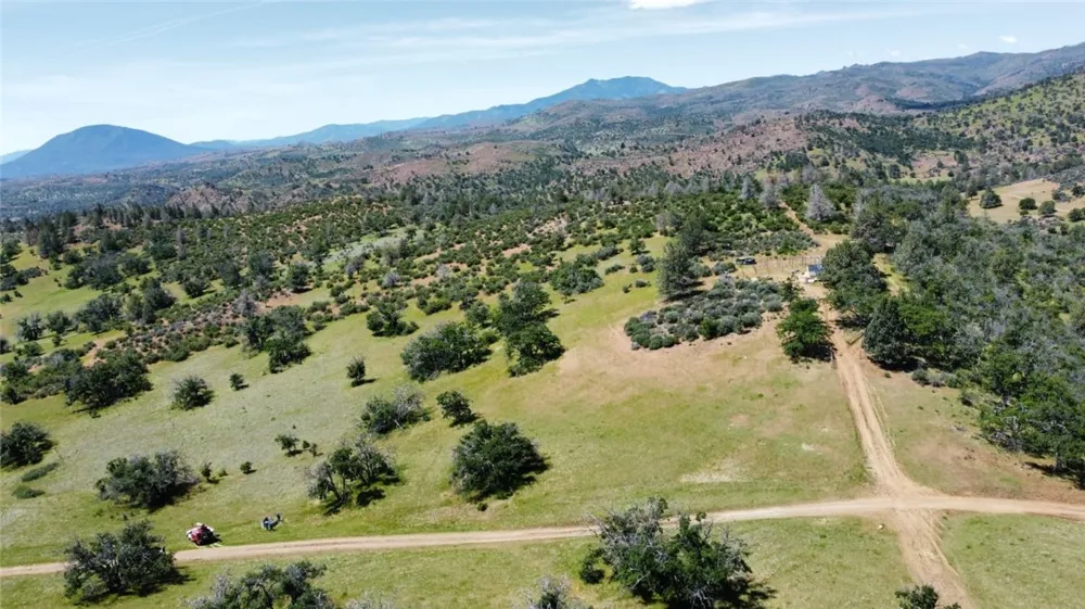 Yellow Dog Trail Hornbrook, CA 96044