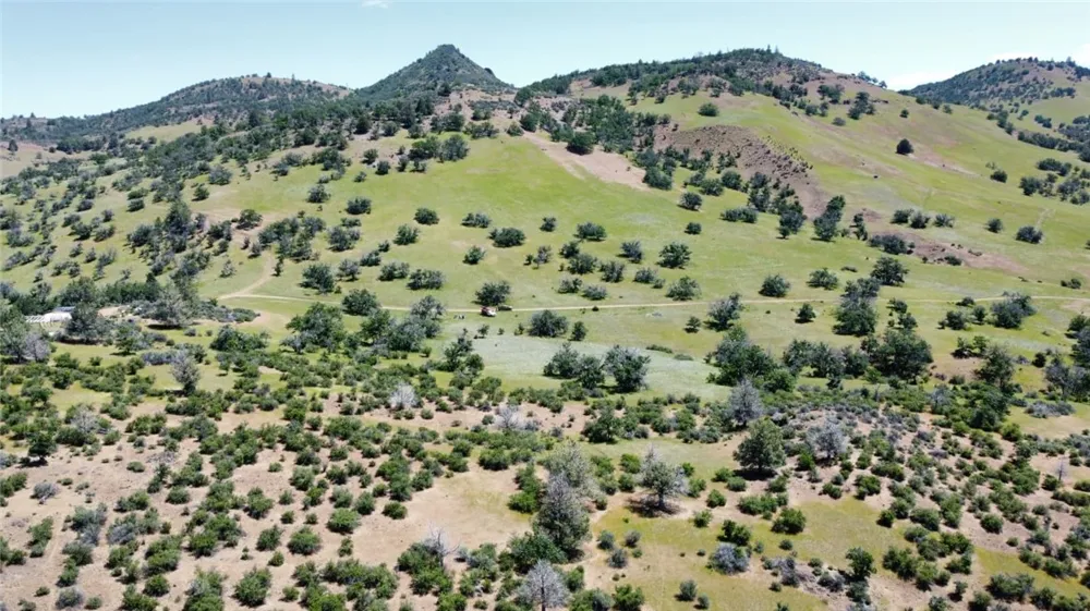 Yellow Dog Trail Hornbrook, CA 96044