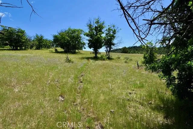 Yellow Dog Trail Hornbrook, CA 96044