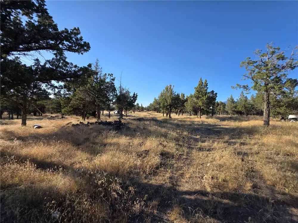 5200 Blackberry Lane Montague, CA 96064