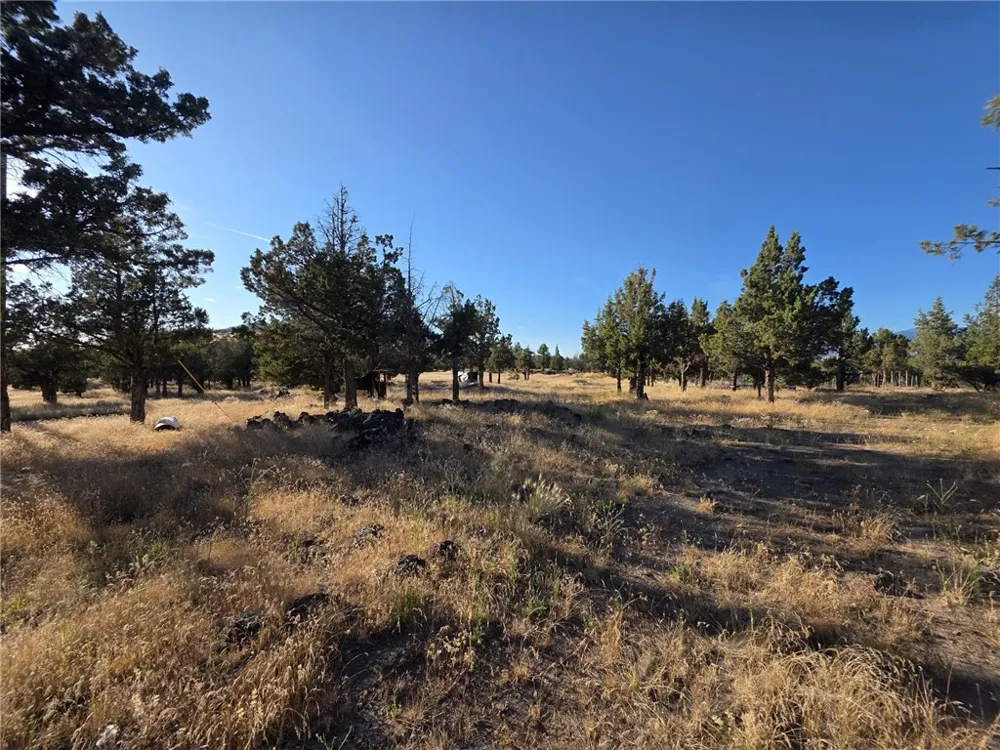 5200 Blackberry Lane Montague, CA 96064