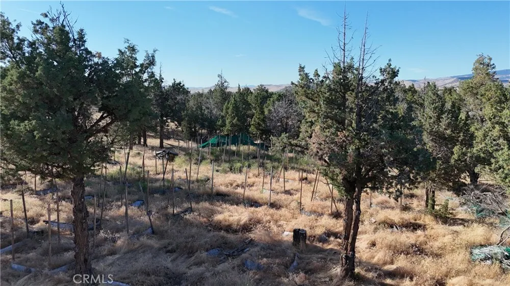 5200 Blackberry Lane Montague, CA 96064