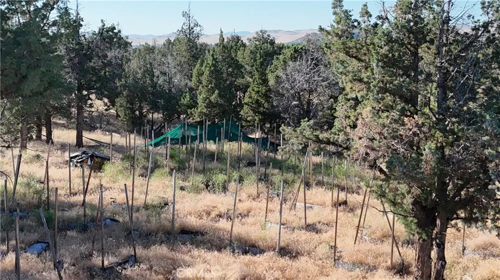 5200 Blackberry Lane Montague, CA 96064