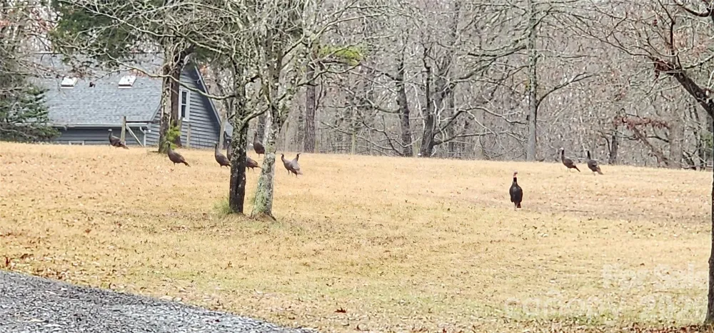 1115 John Short Road Indian Land, SC 29707