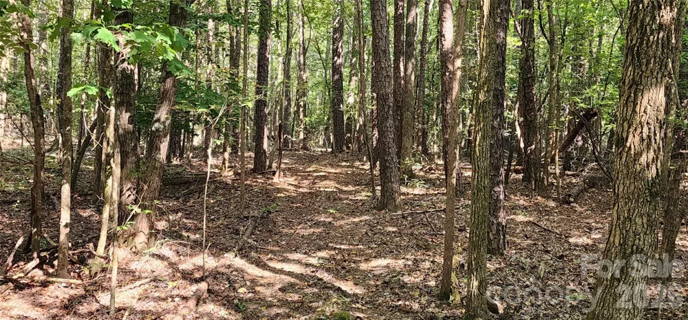 1115 John Short Road Indian Land, SC 29707