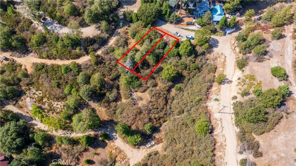 1556 Craghill Dr Cedar Glen, CA 92321