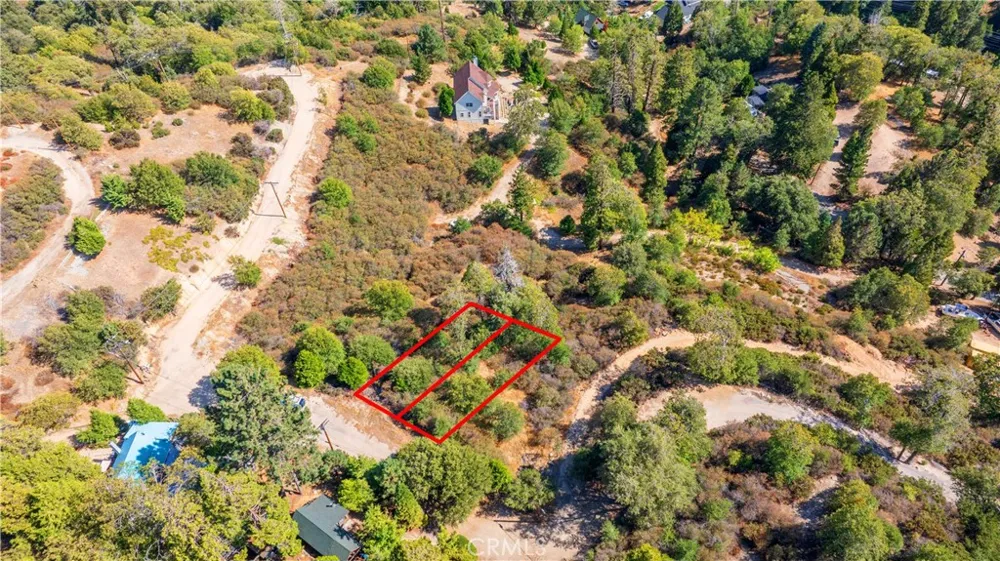 1556 Craghill Dr Cedar Glen, CA 92321