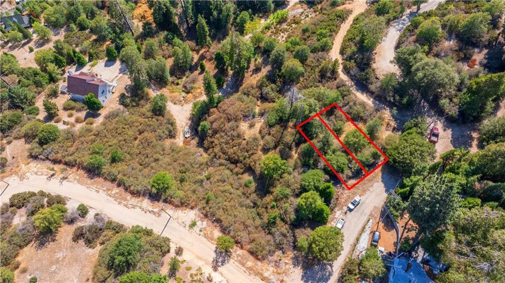 1556 Craghill Dr Cedar Glen, CA 92321