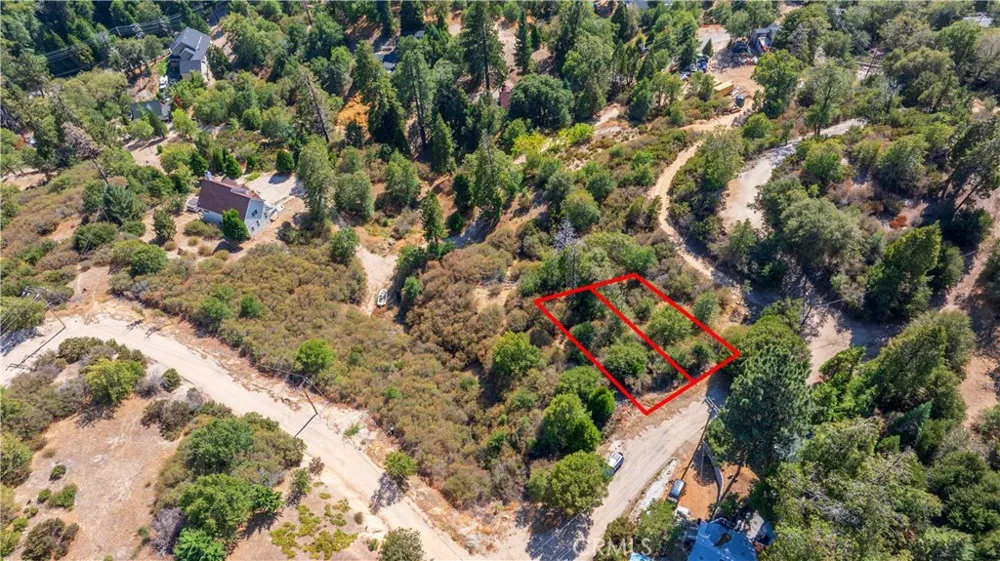 1556 Craghill Dr Cedar Glen, CA 92321