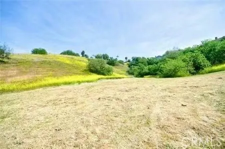1043 Via Romales San Dimas, CA 91773