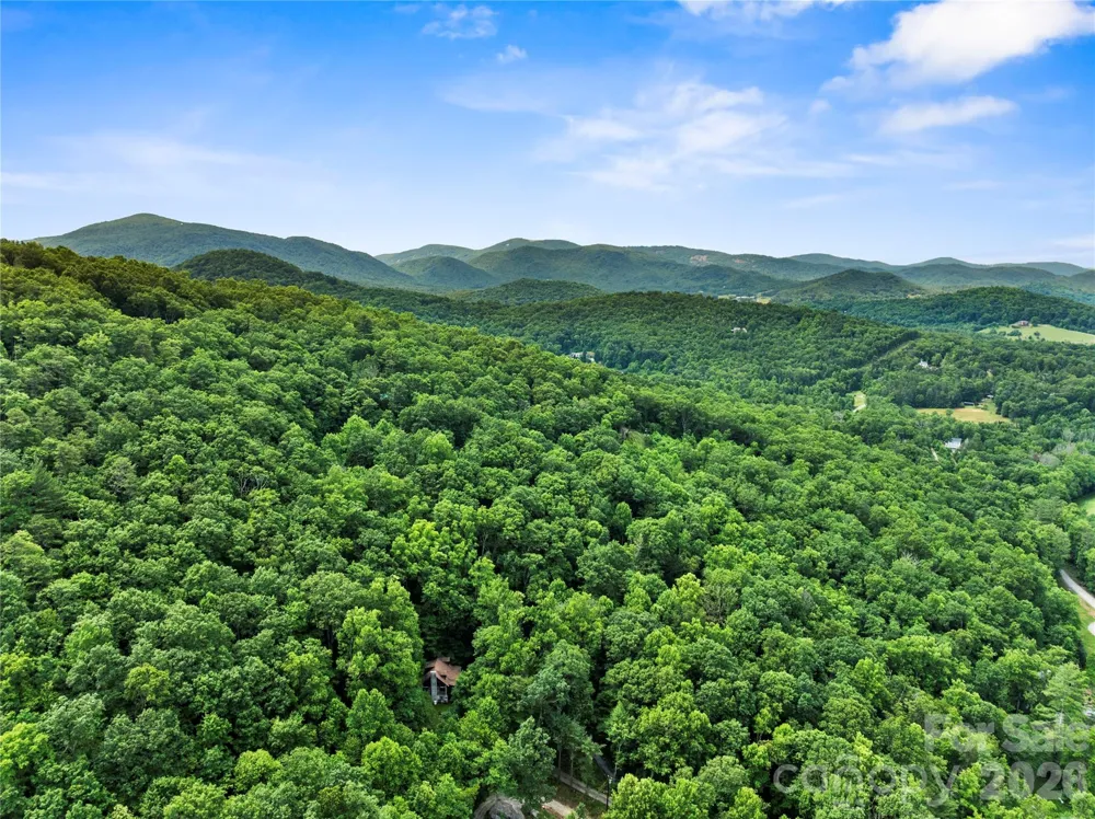 48 Buck Ridge Road Fairview, NC 28730
