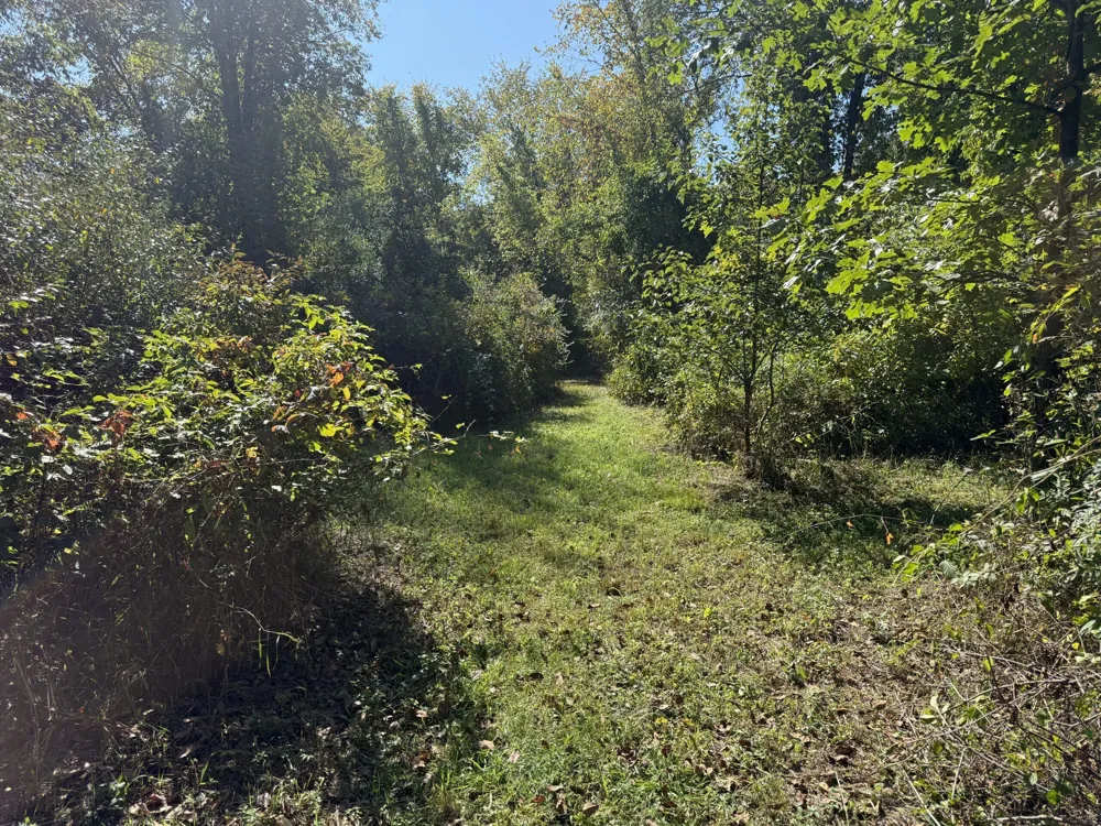 727 W W. Maple Road Road Milford, MI 48381