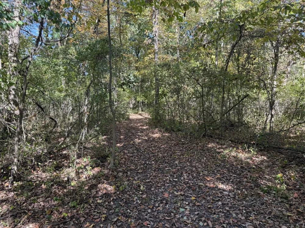 727 W W. Maple Road Road Milford, MI 48381