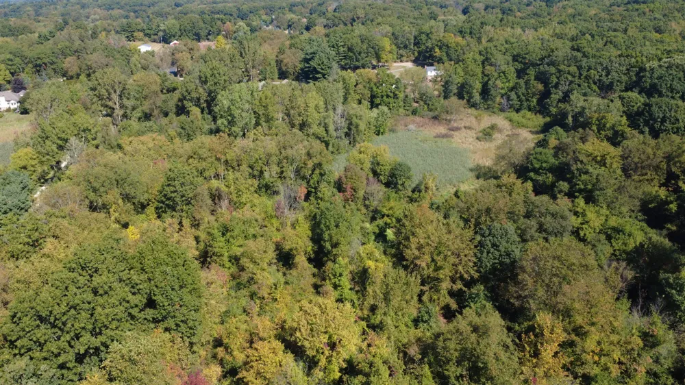 727 W W. Maple Road Road Milford, MI 48381
