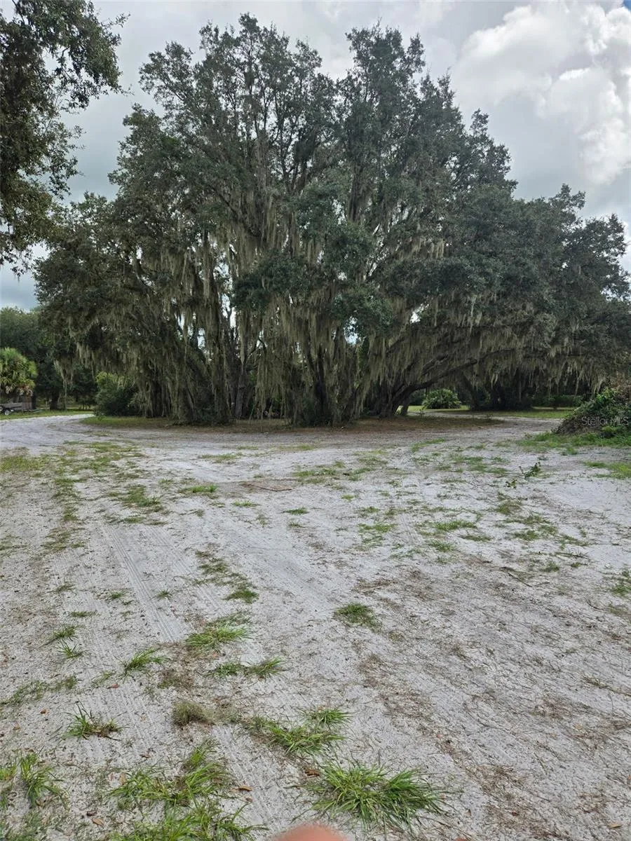 885 LAKE MARIAN ROAD Kenansville, FL 34739
