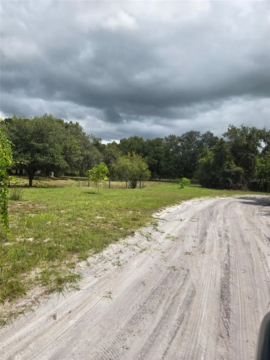 885 LAKE MARIAN ROAD Kenansville, FL 34739