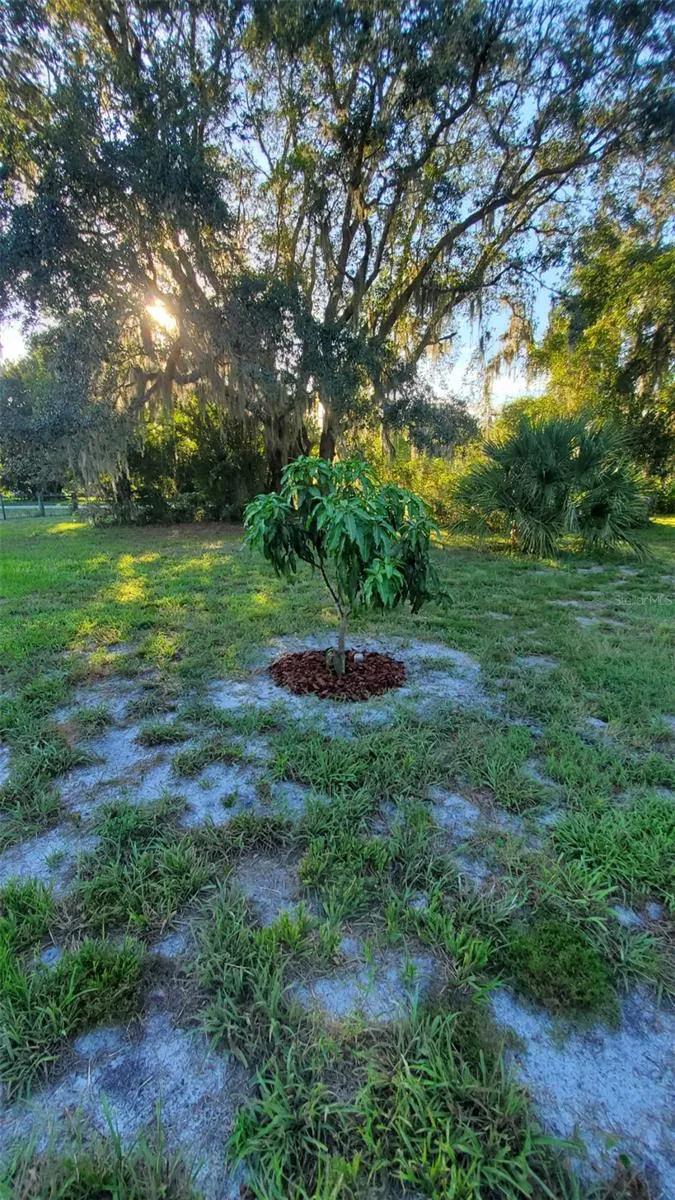 885 LAKE MARIAN ROAD Kenansville, FL 34739