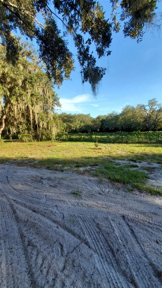 885 LAKE MARIAN ROAD Kenansville, FL 34739