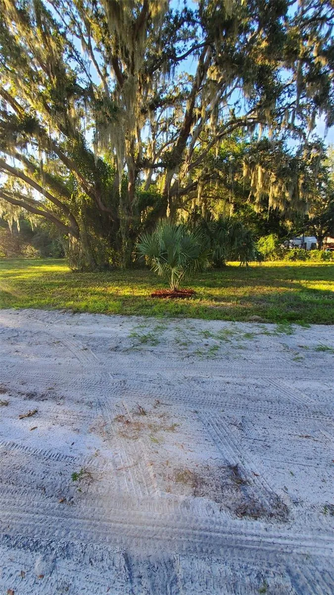 885 LAKE MARIAN ROAD Kenansville, FL 34739