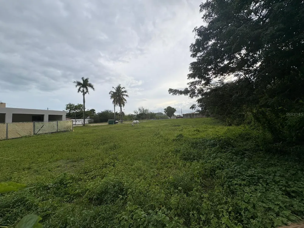 1 JUANA DIAZ Juana Diaz, PR 00795