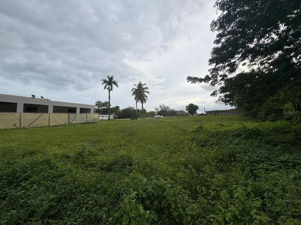 1 JUANA DIAZ Juana Diaz, PR 00795