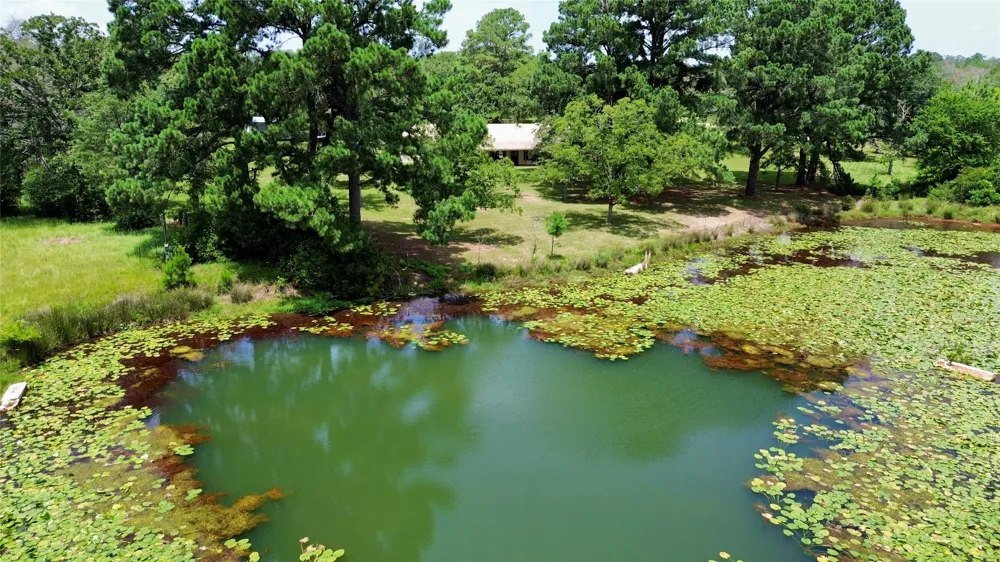 179 Stiewert Lane Paige, TX 78659