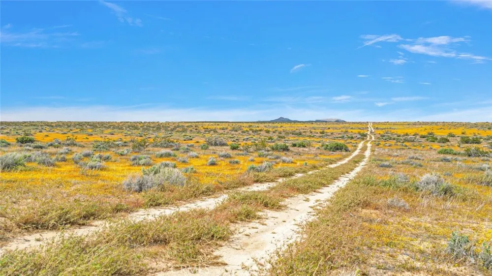 49019133 Powerline Road Kramer Junction, CA 93516