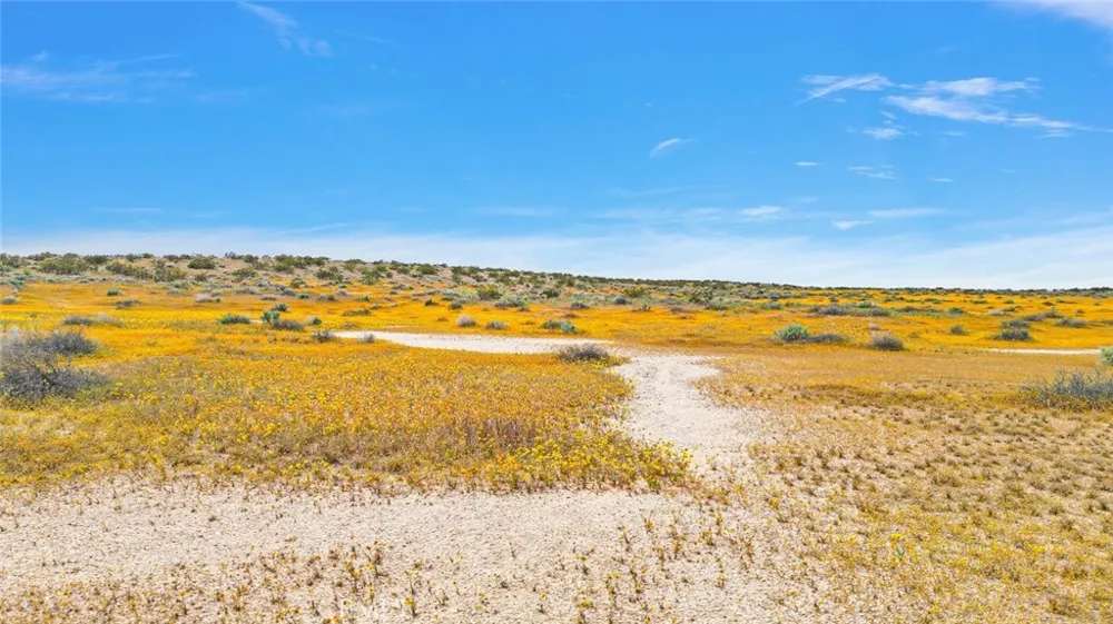 49019133 Powerline Road Kramer Junction, CA 93516