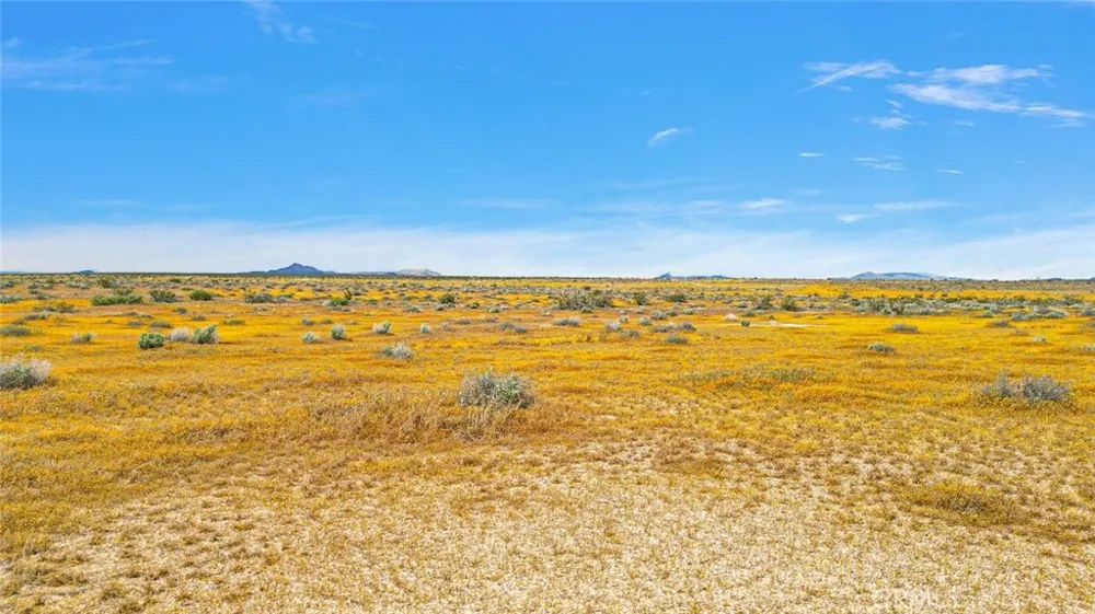 49019133 Powerline Road Kramer Junction, CA 93516