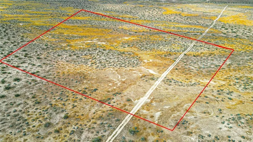 49019133 Powerline Road Kramer Junction, CA 93516