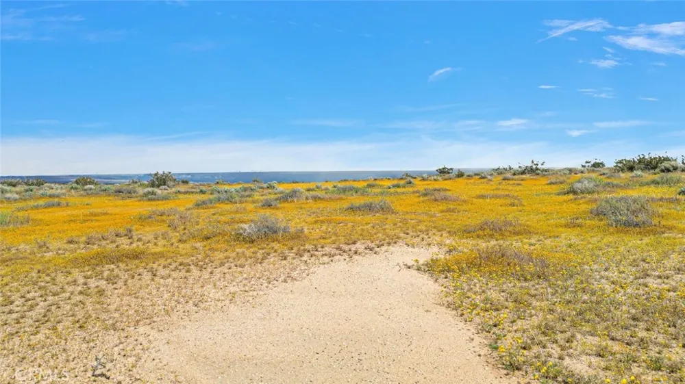 49019133 Powerline Road Kramer Junction, CA 93516