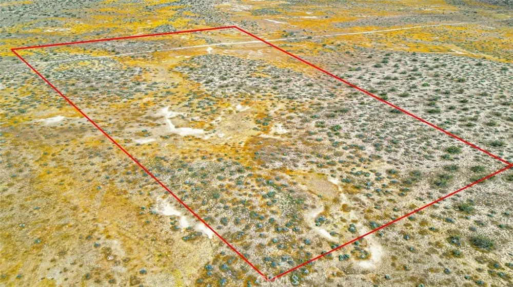 49019133 Powerline Road Kramer Junction, CA 93516