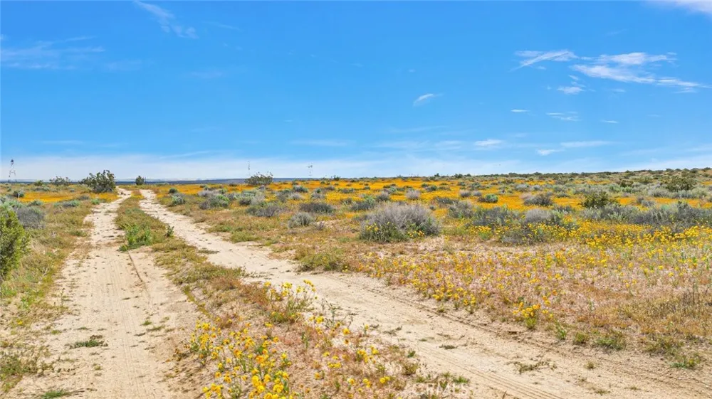 49019133 Powerline Road Kramer Junction, CA 93516