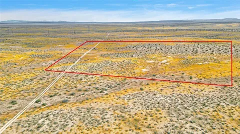 49019133 Powerline Road